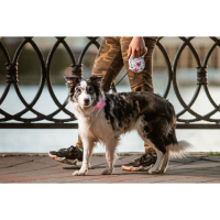 Рулетка "Лапа", 5 м, до 35 кг, принт цветы Рулетка "Лапа", 5 м, до 35 кг, принт цветы