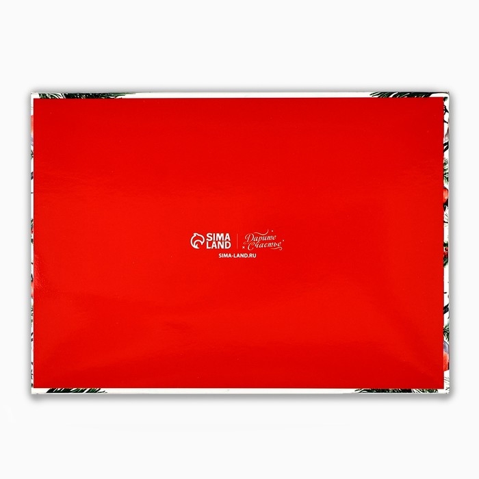 Коробка под 6 конфет с ячейками &laquo;Снегири&raquo;, 10 х 14.5 х 3 см, Новый год