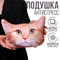 Антистресс-подушка, кошка &laquo;Рыжий&raquo;