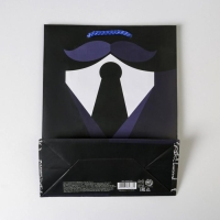 Пакет подарочный ламинированный, упаковка, &laquo;Костюм&raquo;, MS 18 х 23 х 8 см