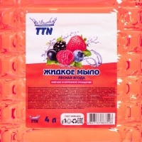 Мыло жидкое TITAN "Лесные ягоды",  4  л