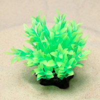Растение искусственное аквариумное, светящееся, 10 см, зелёное Растение искусственное аквариумное, светящееся, 10 см, зелёное