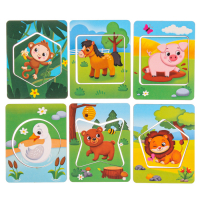 Досочки Сегена &laquo;Кто где живёт&raquo;