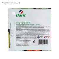 Семена цветов Бегония "Гоу-гоу", 6 шт. Семена цветов Бегония "Гоу-гоу", 6 шт.