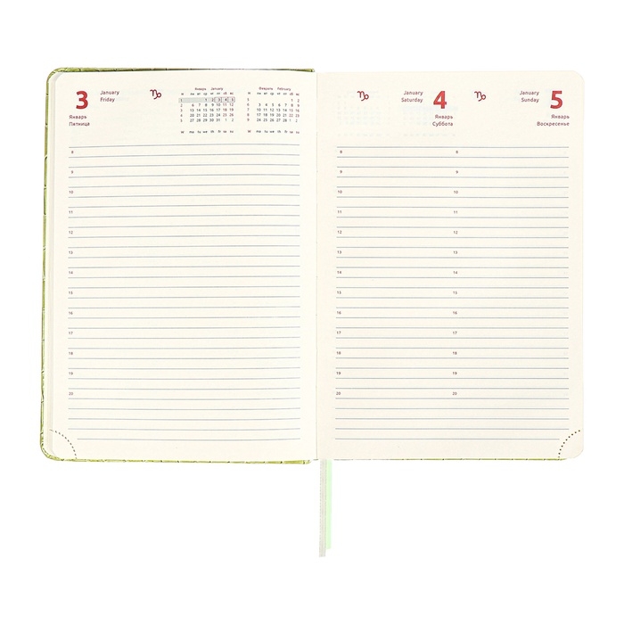 Ежедневник датированный 2025 года, A5, 168 листов, deVENTE. Barbara, твердая обложка кожзам с поролоном, перфорацией, ляссе, блок 70, зеленый Ежедневник датированный 2025 года, A5, 168 листов, deVENTE. Barbara, твердая обложка кожзам с поролоном, перфорацией, ляссе, блок 70, зеленый