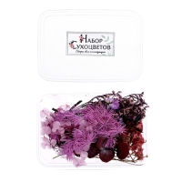 Набор для творчества &laquo;Набор сухоцветов&raquo;, малый, фиолетовый