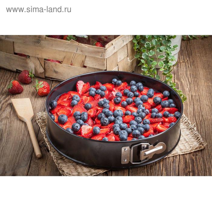 Форма для выпечки Доляна &laquo;Элин. Круг&raquo;, d=24 см, съёмное дно, антипригарное покрытие, цвет чёрный