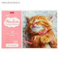 Альбом для рисования А4, 20 листов на скрепке "Котята", обложка мелованный картон, блок 100 г/м2, МИКС