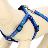 Шлейка с поводком &laquo;Цветные следы&raquo;, 23-35 см, ширина 1 см, поводок 120 см, синяя