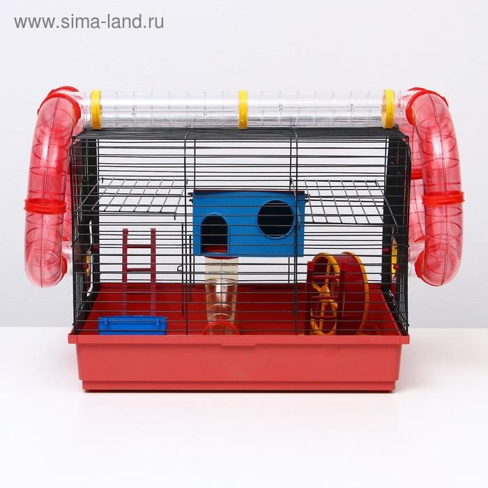 Клетка для грызунов Клетка для грызунов "Хома 4", 55 x 37 x 42 см, микс цветов