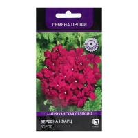 Семена цветов Вербена "Кварц Бордо" 10 шт Семена цветов Вербена "Кварц Бордо" 10 шт