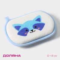 Мочалка детская для купания Доляна &laquo;Енот&raquo;, детская, 12&times;8 см, голубая