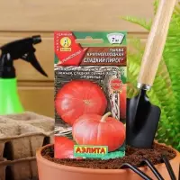 Набор семян Тыква крупноплодная "Сладкий пирог", 5 шт.