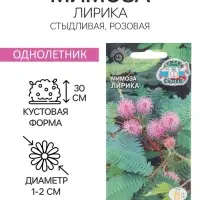 Семена цветов Мимоза "Лирика", стыдливая, розовая, Евро, 0,1 г