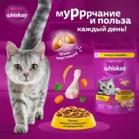 Сухой корм Whiskas для кошек, курица/индейка, подушечки, 1,3 кг