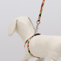 Комплект "Камуфляж", ОШ 16,5-27, ОГ 21-35 см, 120 х 1 см, капрон, красно-чёрно-зеленый