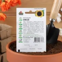 Семена Подсолнечник "Енисей", ц/п,  ХИТ х3, 5 г