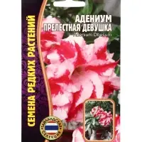Семена цветов Адениум Прелестная Девушка  3 шт. 12.29 г.
