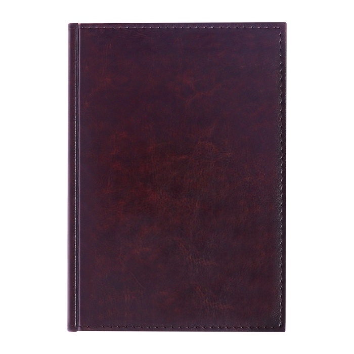 Ежедневник недатированный А5, 160 листов "Небраска", тёмно-коричневый