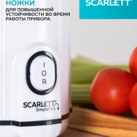 Соковыжималка шнековая SC-JE50S63