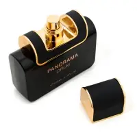 Парфюмерная вода женская Panorama Opium (по мотивам Yves Saint Laurent Black Opium), 100 мл