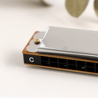 Губная гармошка Music Life T2401 тремоло, с футляром