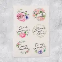 Наклейки для подарков и цветов &laquo;Самой чудесной&raquo;, 16 х 9.3 см