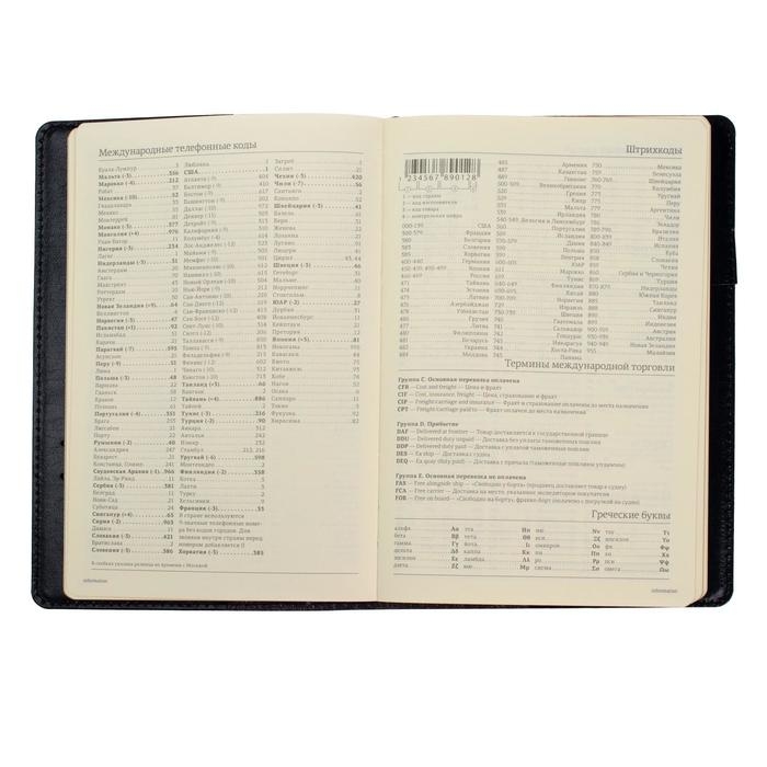 Ежедневник полудатированный А5, 208 листов Profy, рециклированная кожа, сменный блок, золотой срез, чёрный