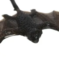 Липучка &laquo;Гады&raquo;, виды МИКС