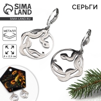 Серьги новогодние &laquo;Мечты&raquo;, 4 х 2,3 см