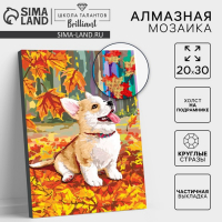 Алмазная мозаика на подрамнике с частичным заполнением «Корги», 20 x 30 см Алмазная мозаика на подрамнике с частичным заполнением «Корги», 20 x 30 см