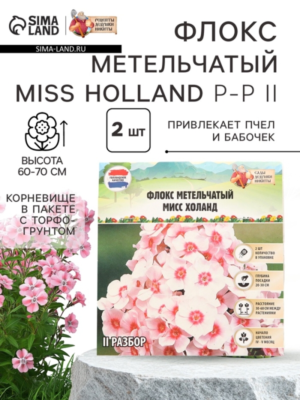 Флокс метельчтый Miss holland корневище в пакете с торфогрунтом, р-р II, 2 шт.