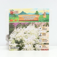 Астильба Арендса Brautschleierмноголетник, корневище в торфогрунте р-р II, 2 шт.