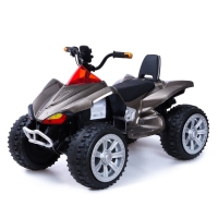 Электромобиль &laquo;Квадроцикл&raquo;, 2 мотора, цвет чёрный карбон