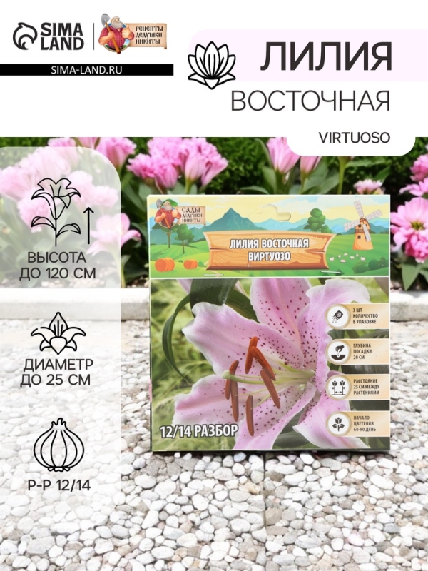 Лилия Восточная Virtuoso, луковица в пакете с перфорацией, р-р 12/14, 3 шт.