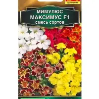 Семена цветов Мимулюс гибридный Максимус F1, смесь сортов  С. Floranova , Ц/П,10 шт.