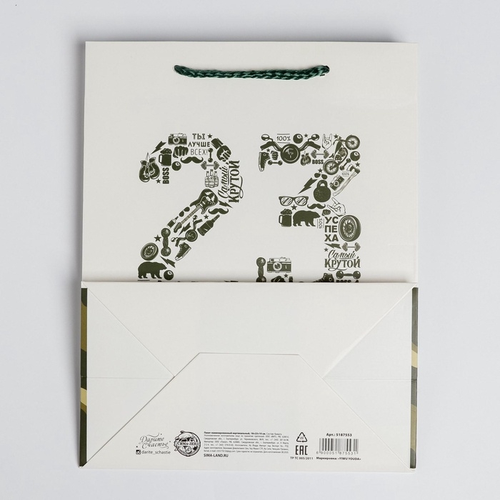 Пакет подарочный ламинированный вертикальный, упаковка, &laquo;23 февраля&raquo;, MS 18 х 23 х 10 см