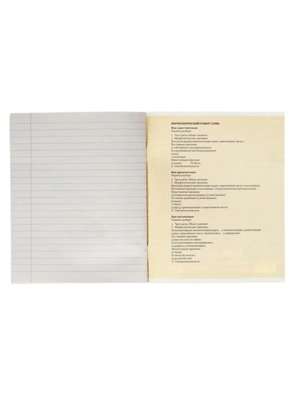 Тетрадь предметная 48 листов в линейку Calligrata &laquo;3D. Русский язык&raquo;, серые листы