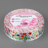 Лента атласная &laquo;Весеннее поле&raquo;, 25 мм, 23 &plusmn; 1 м, разноцветная