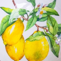 Салатник "Лимоны" дерево манго 29х29х11 см