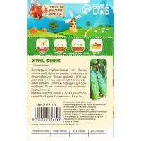 Семена Огурец &laquo;Феникс&raquo;, пчелоопыляемый, среднеспелый, 0.5 г