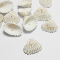 Бусины &laquo;Ракушка&raquo;, 3&times;2 см, половинка, набор 100г, цвет белый