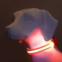 Ошейник с подсветкой Двойная полоса размер XL, ОШ 52-60 х 2,5 см 3 режима свечения оранж