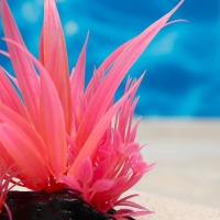 Растение искусственное аквариумное, светящееся, 10 см, красное Растение искусственное аквариумное, светящееся, 10 см, красное