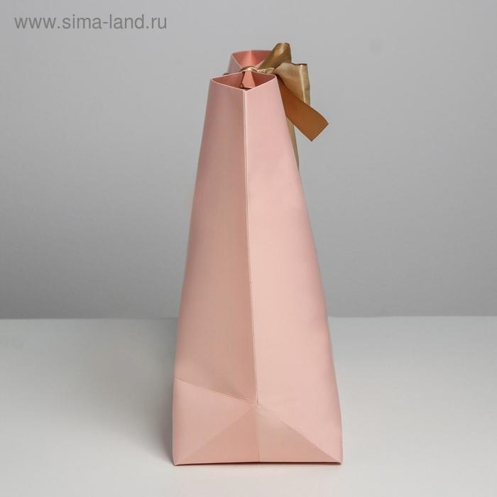 Пакет подарочный, упаковка, &laquo;Present for you&raquo;, 30 х 27.5 х 12 см