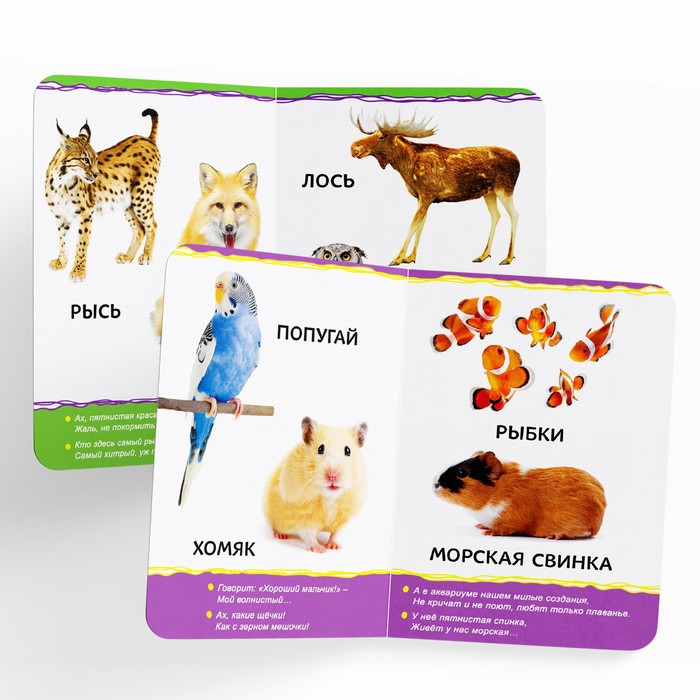 Книги картонные набор &laquo;Для малышей&raquo; № 1, 4 шт., 10 стр.