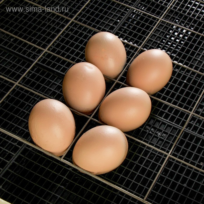 Инкубатор бытовой «Золушка», на 70 яиц, автоматический переворот, 220 В/12 В Инкубатор бытовой «Золушка», на 70 яиц, автоматический переворот, 220 В/12 В