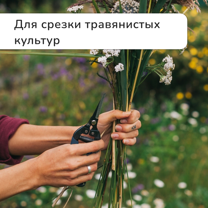 Ножницы садовые, 8" (20 см), с пластиковыми ручками, Greengo