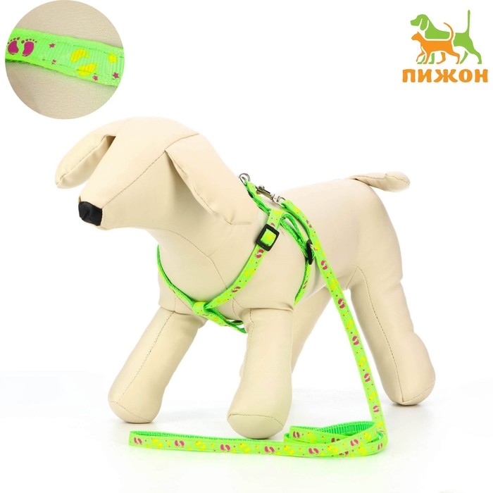 Комплект Комплект "Цветные следы", поводок 120 х 1 см, ОГ 23-35 см, зелёный