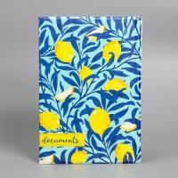 Папка для документов &laquo;Docs&raquo;, 8 файлов А4